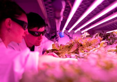 pexels-thisisengineering-3912479